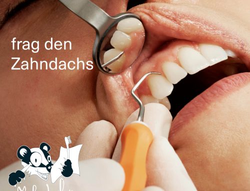 Regelmäßig Kontrolle und Zahnreinigung